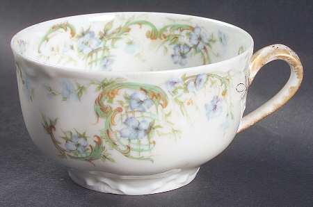 Schleiger 489-2 by Haviland