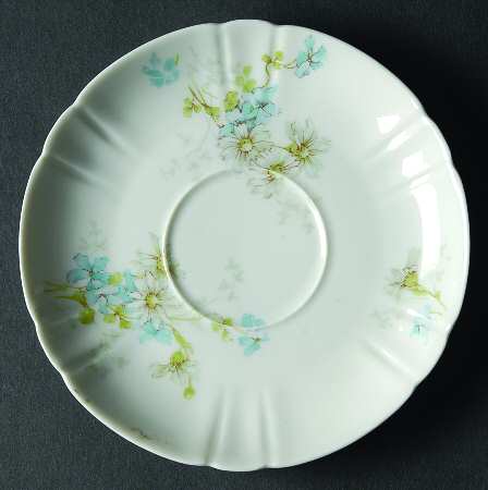 Schleiger 331-11 by Haviland