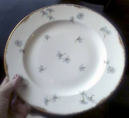 Schleiger 316-7 Dinner Plate