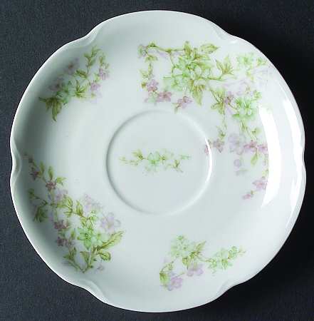 Schleiger 45-3 by Haviland
