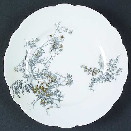 Schleiger 77-19 by Haviland