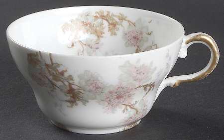 Schleiger 160-5 by Haviland
