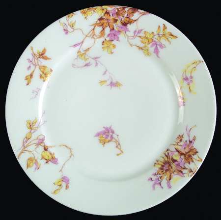 Schleiger 1152-25 by Haviland