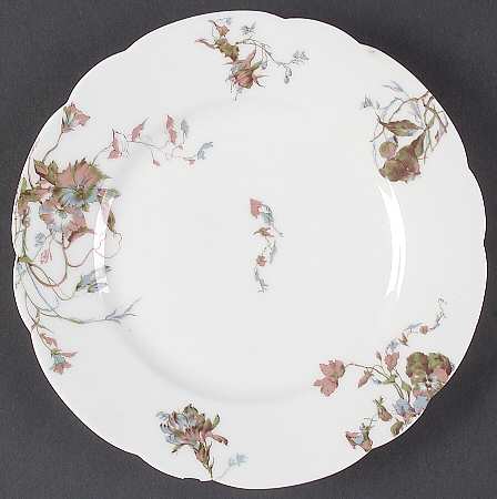 Schleiger 1152-28 by Haviland