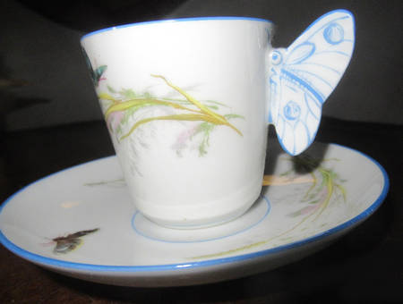 Meadow Visitors (Smooth, Turquoise Trim) Flat Demitasse Cup & Saucer Set