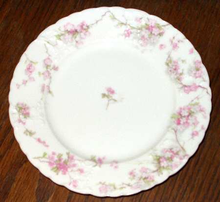 Schleiger 248-13 by Haviland
