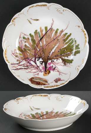 Sea Life by Haviland