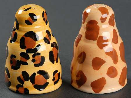 Safari Salt & Pepper Set