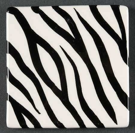 Safari Coaster