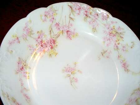 Schleiger 263-5 by Haviland