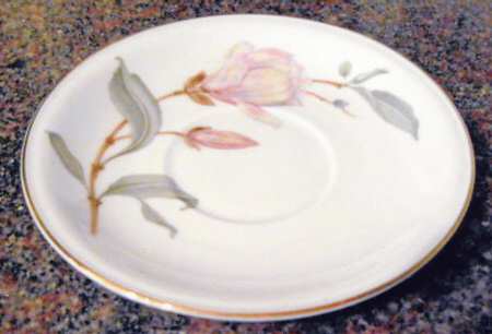 HUT1910 Saucer