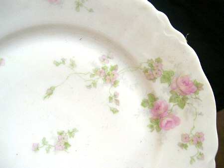 HC1159 Dinner Plate