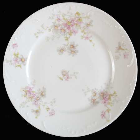 Schleiger 331-12 by Haviland