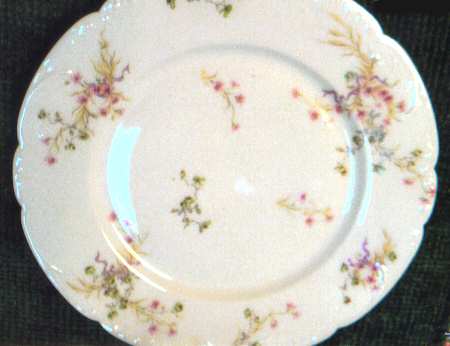 Schleiger 1025-11 by Haviland