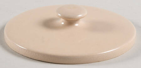 Apple Lid for Pitcher