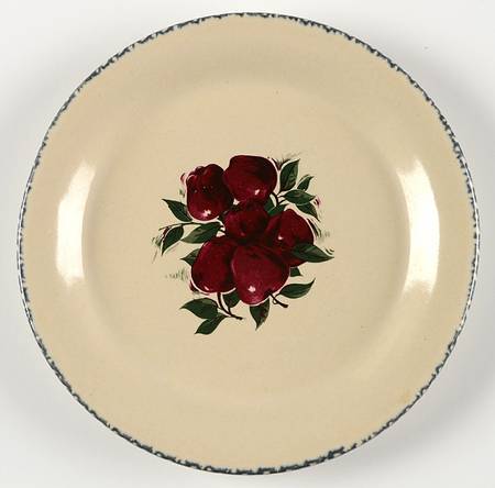 Apple Salad Plate