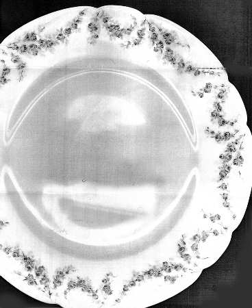 Schleiger 145-7 by Haviland