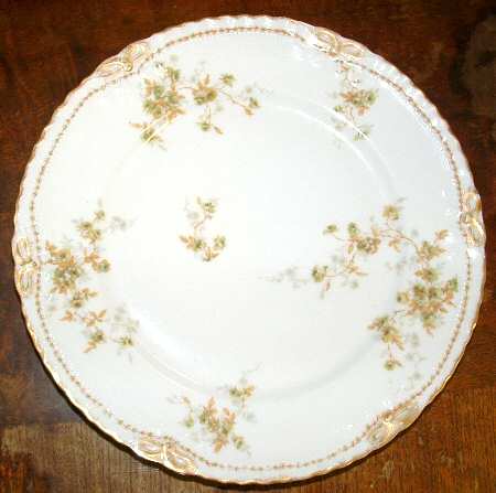 Schleiger 150-21 by Haviland
