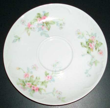 Schleiger 310-5 by Haviland