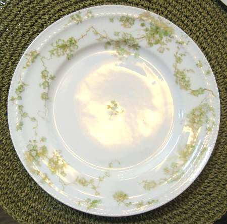 Schleiger 248-15 by Haviland