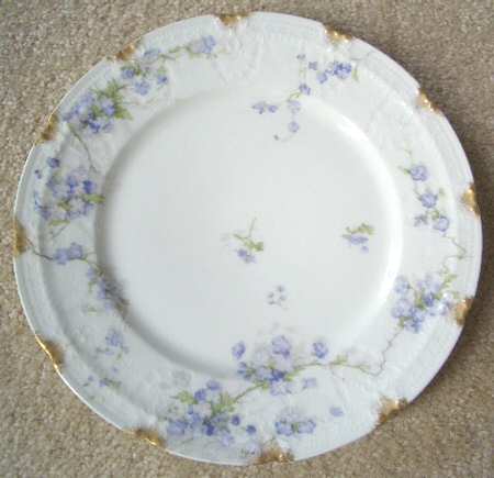 Schleiger 248-16 by Haviland