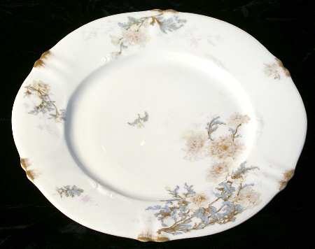 Schleiger 160-6 by Haviland