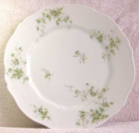 Schleiger 150-22 by Haviland