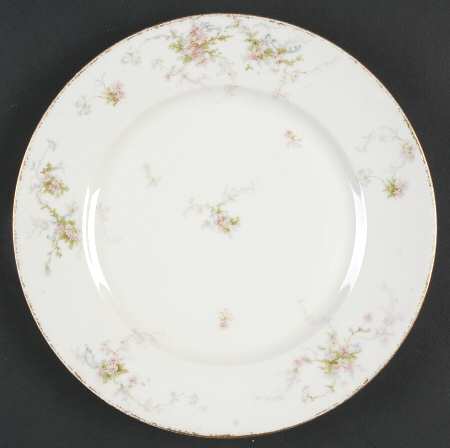 Schleiger 839-4 by Haviland