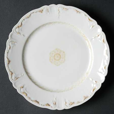 H4067 Bread & Butter Plate by Haviland