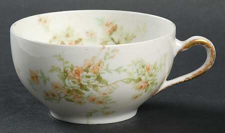 Schleiger 837-17 by Haviland