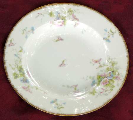 Schleiger 333-10 by Haviland