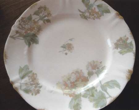 H4092 Dinner Plate