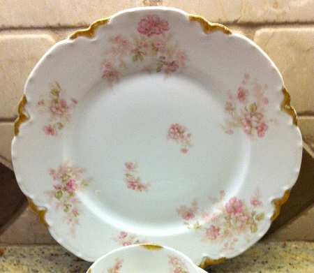 Schleiger 1172-5 by Haviland