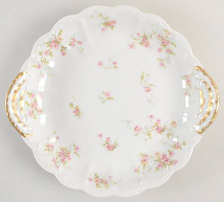 Schleiger 150-25 by Haviland