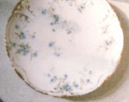 Schleiger 150-26 by Haviland