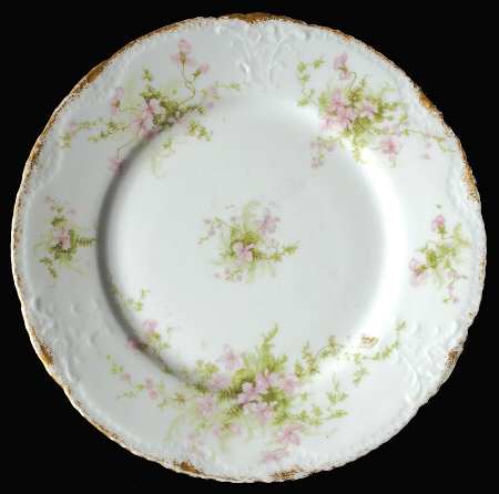 Schleiger 157-21 by Haviland