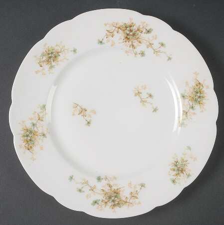 Schleiger 1021-3 by Haviland