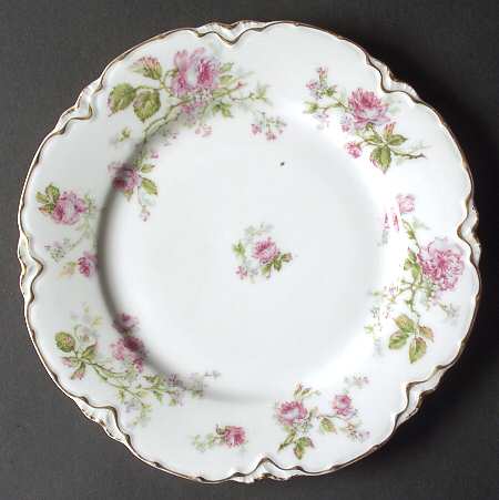 Schleiger 1145-6 by Haviland