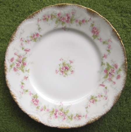 Schleiger 341-8 by Haviland