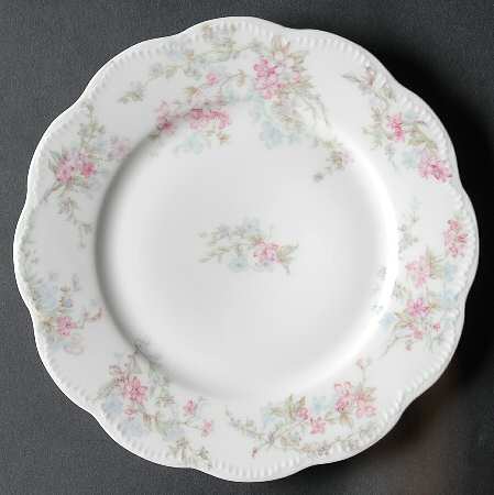 Schleiger 45-4 by Haviland