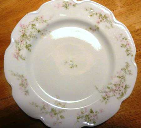 Schleiger 455-2 by Haviland