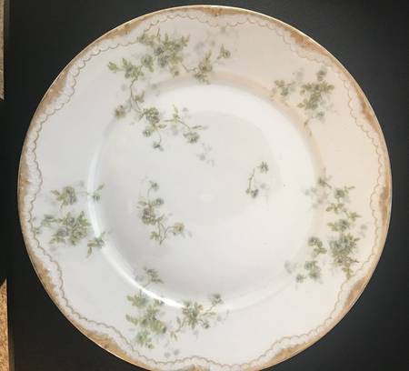 Schleiger 150-27 by Haviland