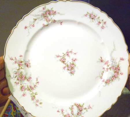 Schleiger 342-17 by Haviland