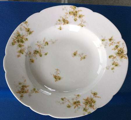 Schleiger 150-28 by Haviland