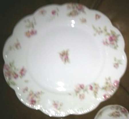 Schleiger 39-6 by Haviland