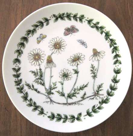 HCH28 Salad Plate