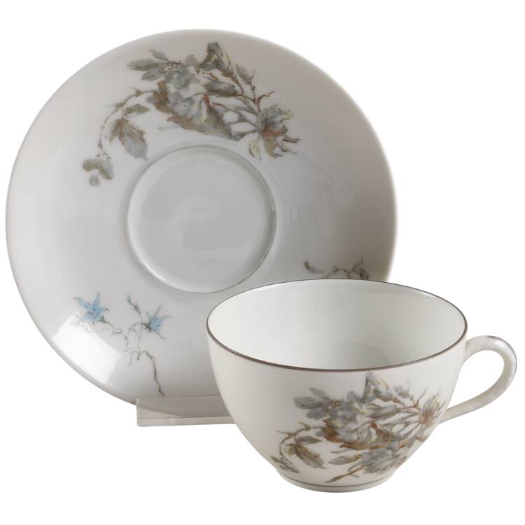 H4254 Flat Cup & Saucer Set by Haviland