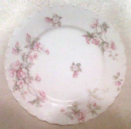 Schleiger 241-4 by Haviland