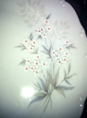 HCZ167 Dinner Plate