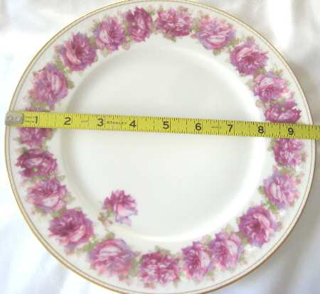 Schleiger 55-24 Dinner Plate